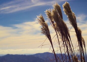 Moti nesër dhe ditëve në vazhdim! (05.12.2020.) E Shtunë