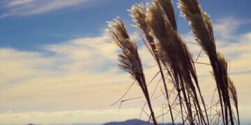 Moti nesër dhe ditëve në vazhdim! (05.12.2020.) E Shtunë