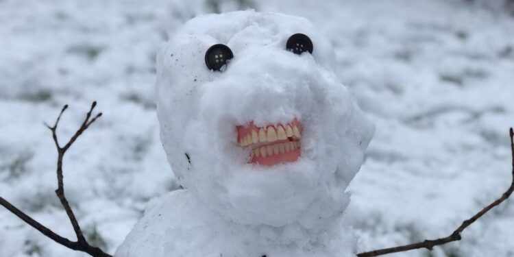 Nëna “shtanget” kur sheh se fëmijët e saj ndërtuan dordolec me dhëmbët e gjyshes