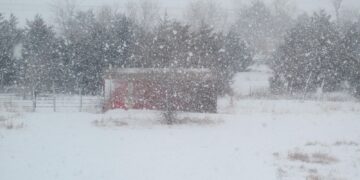 Moti nesër dhe ditëve në vazhdim! (14.01.2021.) E Enjte