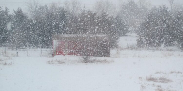 Moti nesër dhe ditëve në vazhdim! (14.01.2021.) E Enjte