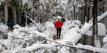 Mediat spanjolle: Stuhia Filomena, një tragjedi e paralajmëruar