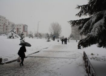 Moti për ditën e sotme