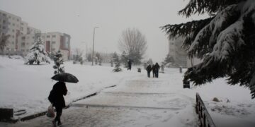 Moti për ditën e sotme