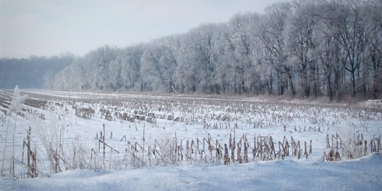 Moti nesër dhe ditëve në vazhdim! (18.01.2021.) E Hënë