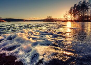 Moti për ditën e sotme