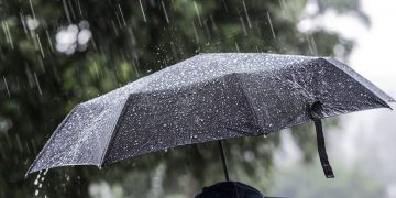 Moti për ditën e sotme