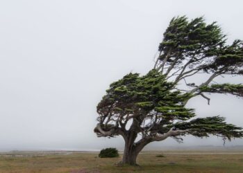 Moti për ditën e sotme