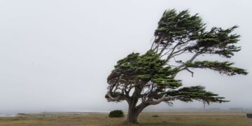 Moti për ditën e sotme