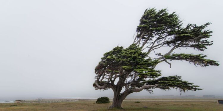 Moti për ditën e sotme