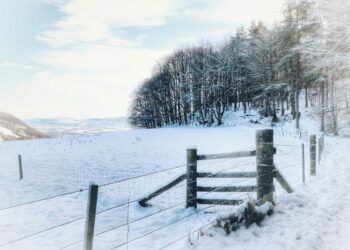 Moti për ditën e sotme