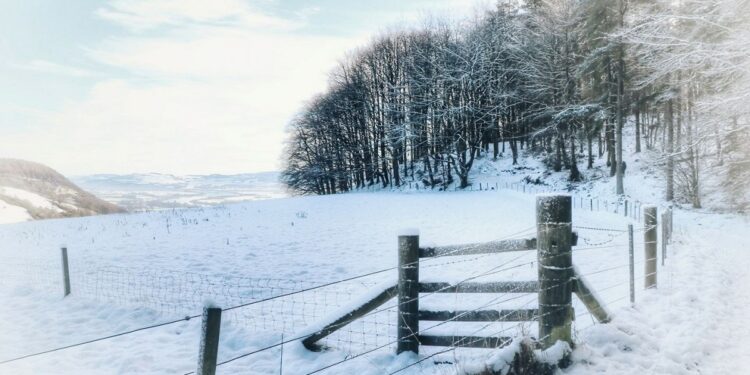 Moti për ditën e sotme