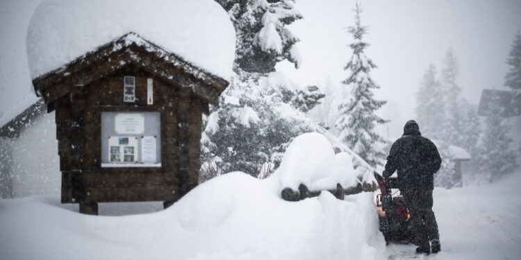 Dy të vdekur nga orteqet në Zvicër