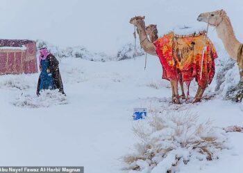 Bie borë edhe në Saharë dhe Arabinë Saudite