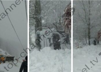 Orteku godet makinën e doktorit dhe infermierit shqiptar, përfundon disa metra poshtë rrugës
