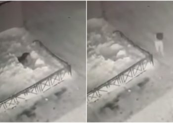 Rrëzohet nga kati i 4-ët mbi borë, shpëton mrekullisht 6-vjeçarja