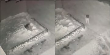 Rrëzohet nga kati i 4-ët mbi borë, shpëton mrekullisht 6-vjeçarja