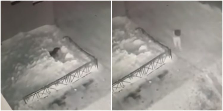 Rrëzohet nga kati i 4-ët mbi borë, shpëton mrekullisht 6-vjeçarja