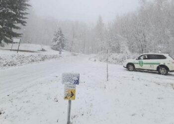 Dy trupa të ngirë gjenden në Kroaci, dyshohet se bëhet fjalë për emigrantë