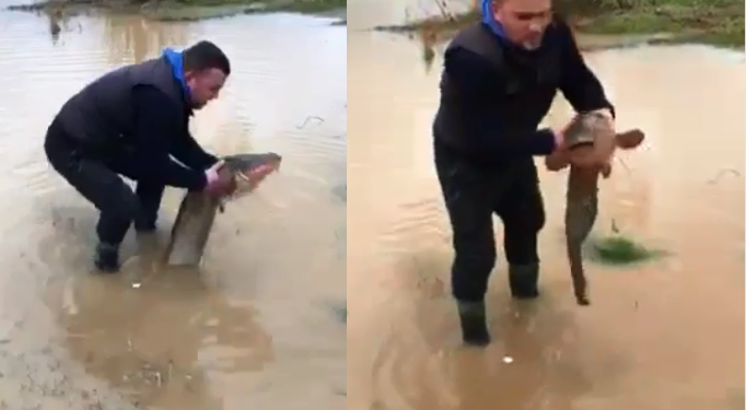 Vërshimet në Gjilan, qytetari gjen një peshk të madh në oborr