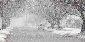 Moti për ditën e sotme