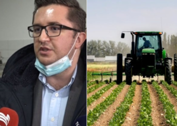 Nga shkurti fillojnë pagesat për bujqit e blegtorët