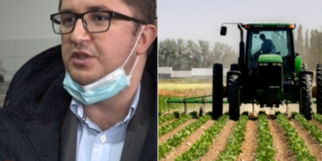 Nga shkurti fillojnë pagesat për bujqit e blegtorët