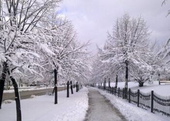 Moti për ditën e sotme