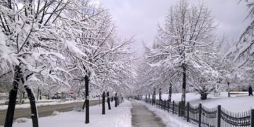 Moti për ditën e sotme