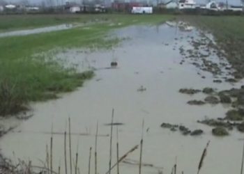 Reshjet e dendura të shiut, del nga shtrati lumi Ishëm, përmbyten dhjetëra hektarë toka!