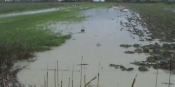 Reshjet e dendura të shiut, del nga shtrati lumi Ishëm, përmbyten dhjetëra hektarë toka!