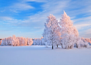 Moti nesër dhe ditëve në vazhdim! (15.01.2021.) E Premte
