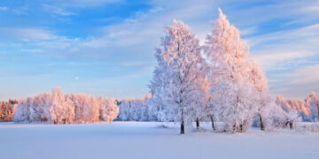 Moti nesër dhe ditëve në vazhdim! (15.01.2021.) E Premte