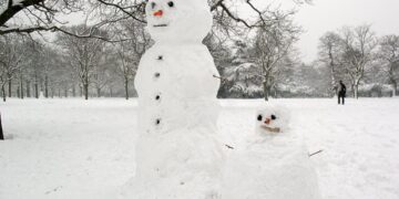 Kosovarët kërkojnë myshteri për “shitje” të dordolecëve