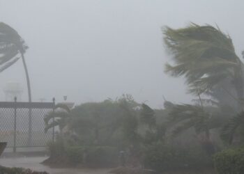 Moti nesër dhe ditëve në vazhdim! (24.01.2021) E Diele