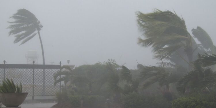 Moti nesër dhe ditëve në vazhdim! (24.01.2021) E Diele