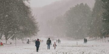 Kur bora mbulonte Prishtinën në vitin 1981