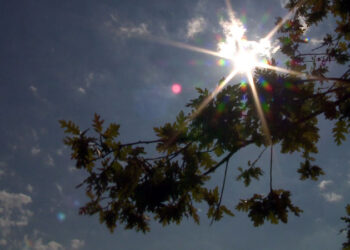 Moti për ditën e sotme