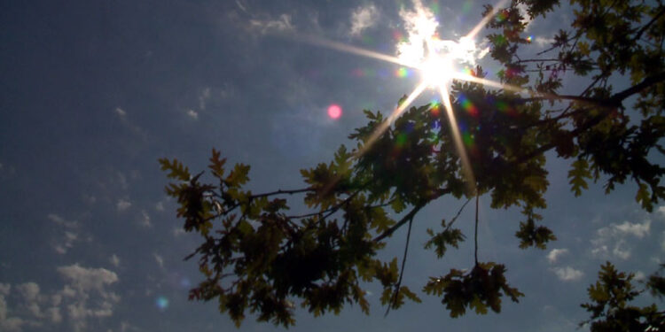 Moti për ditën e sotme