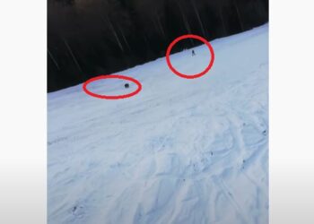Ariu i vërsulet skiatorit, mezi arrin të shpëtojë