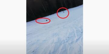 Ariu i vërsulet skiatorit, mezi arrin të shpëtojë