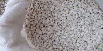 Arrestohet një person në pikën kufitare në Han të Elezit, i gjenden 15 thasë me fasule