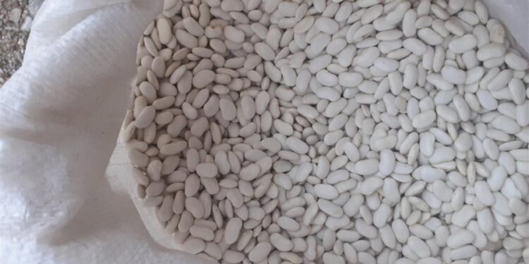 Arrestohet një person në pikën kufitare në Han të Elezit, i gjenden 15 thasë me fasule