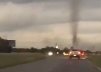 Mushkonjat “tmerrojnë” shoferët në Argjentinë, dukeshin si tornado