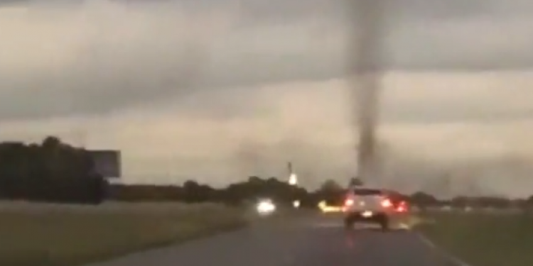 Mushkonjat “tmerrojnë” shoferët në Argjentinë, dukeshin si tornado
