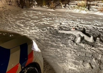 Menduan se është njeri i vrarë, policia gjen dordolec të shtrirë në tokë