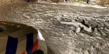 Menduan se është njeri i vrarë, policia gjen dordolec të shtrirë në tokë