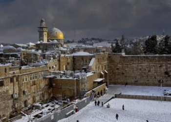 Pas 6 vjetësh natyra befason Jerusalemin