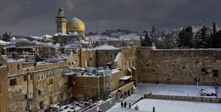 Pas 6 vjetësh natyra befason Jerusalemin