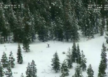 Burri ngujohet në mal për një javë pasi GPS-i e drejtoi në një rrugë të bllokuar